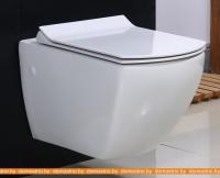 Унитаз BelBagno Carina BB514CHR картинка