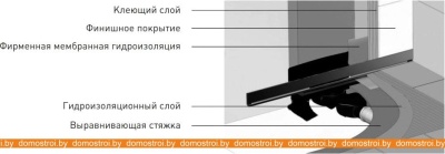 Душевой трап Berges Wasserhaus Wall 600 (матовый хром) фотография
